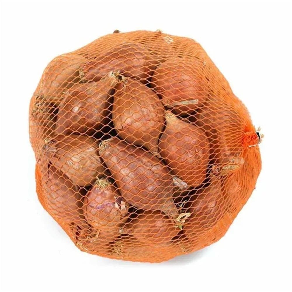 Arpacık Soğan