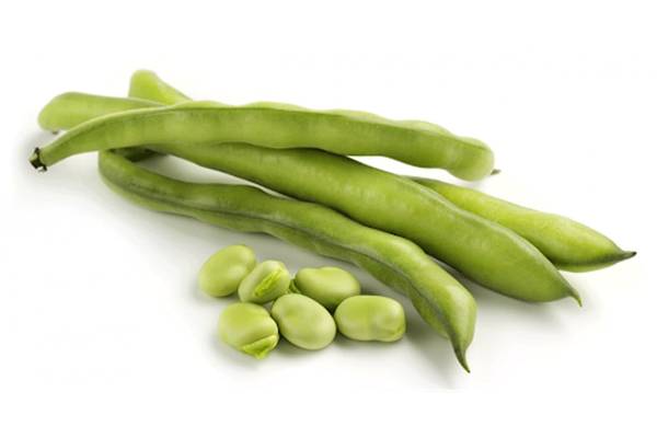 Bakla